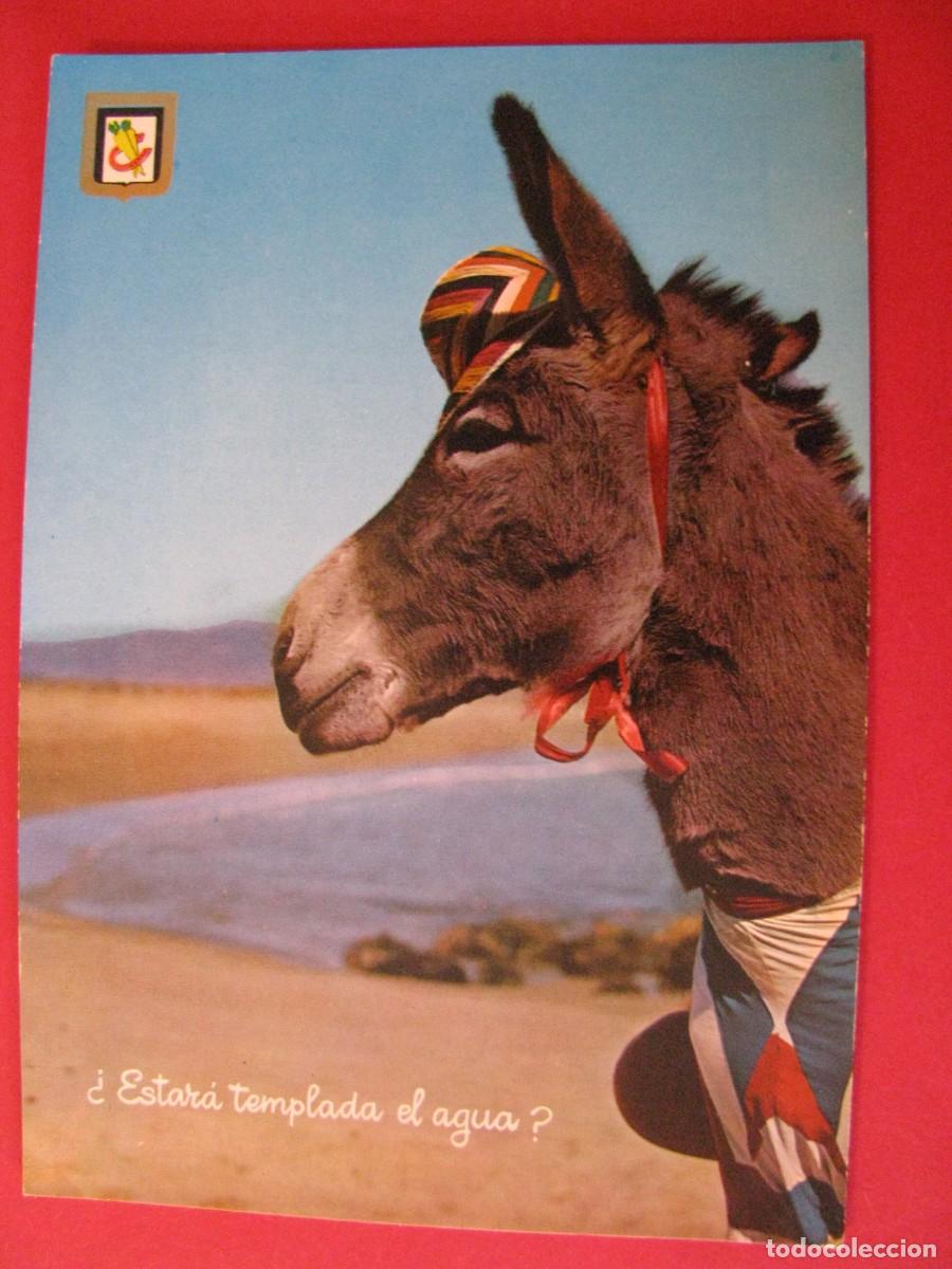 Postcards: POSTAL &iexcl;QUE CHULO SOY! ESCUDO DE ORO. CIRCULADA 1967.