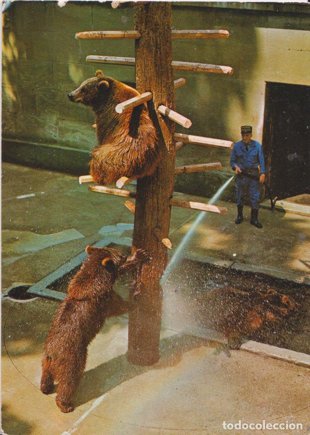 Postales: SUIZA, BERNA, EL FOSO DE LOS OSOS - BERINGER 5796 - S/C