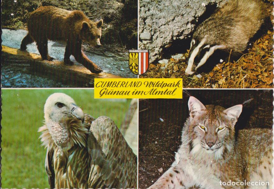 Postales: AUSTRIA, GR&Uuml;NAU IM ALMTAL, Parque de vida silvestre - ALBERT RASTL A 4645 - S/C
