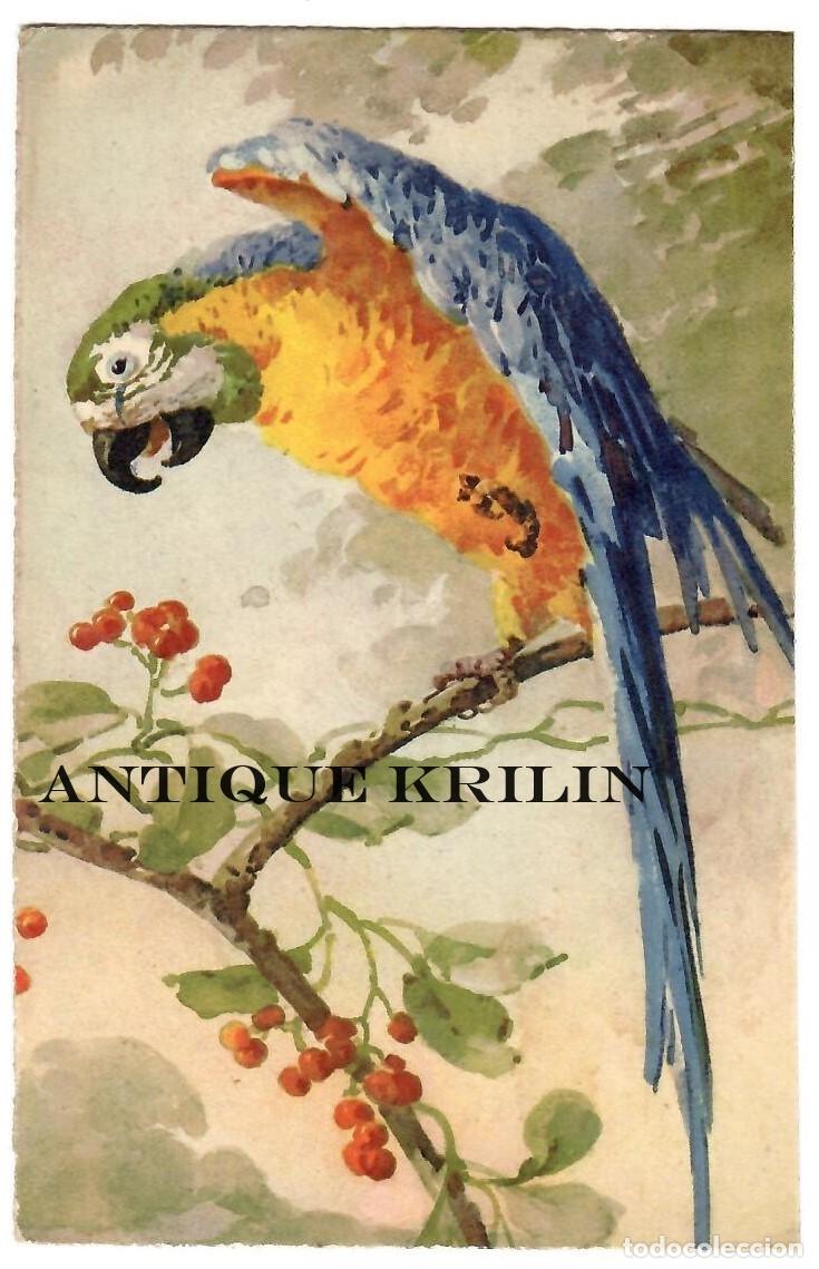 Postales: POSTAL EDICION STEHLI N&ordm; 120 / IMPRIME EN SUISSE / SIN CIRCULAR