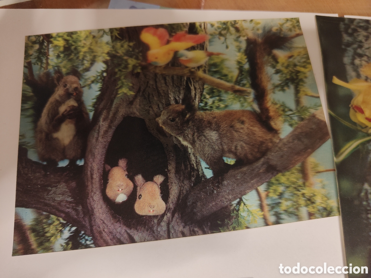 Postales: LOTE POSTALES TRIDIMENSIONALES - Foto 4