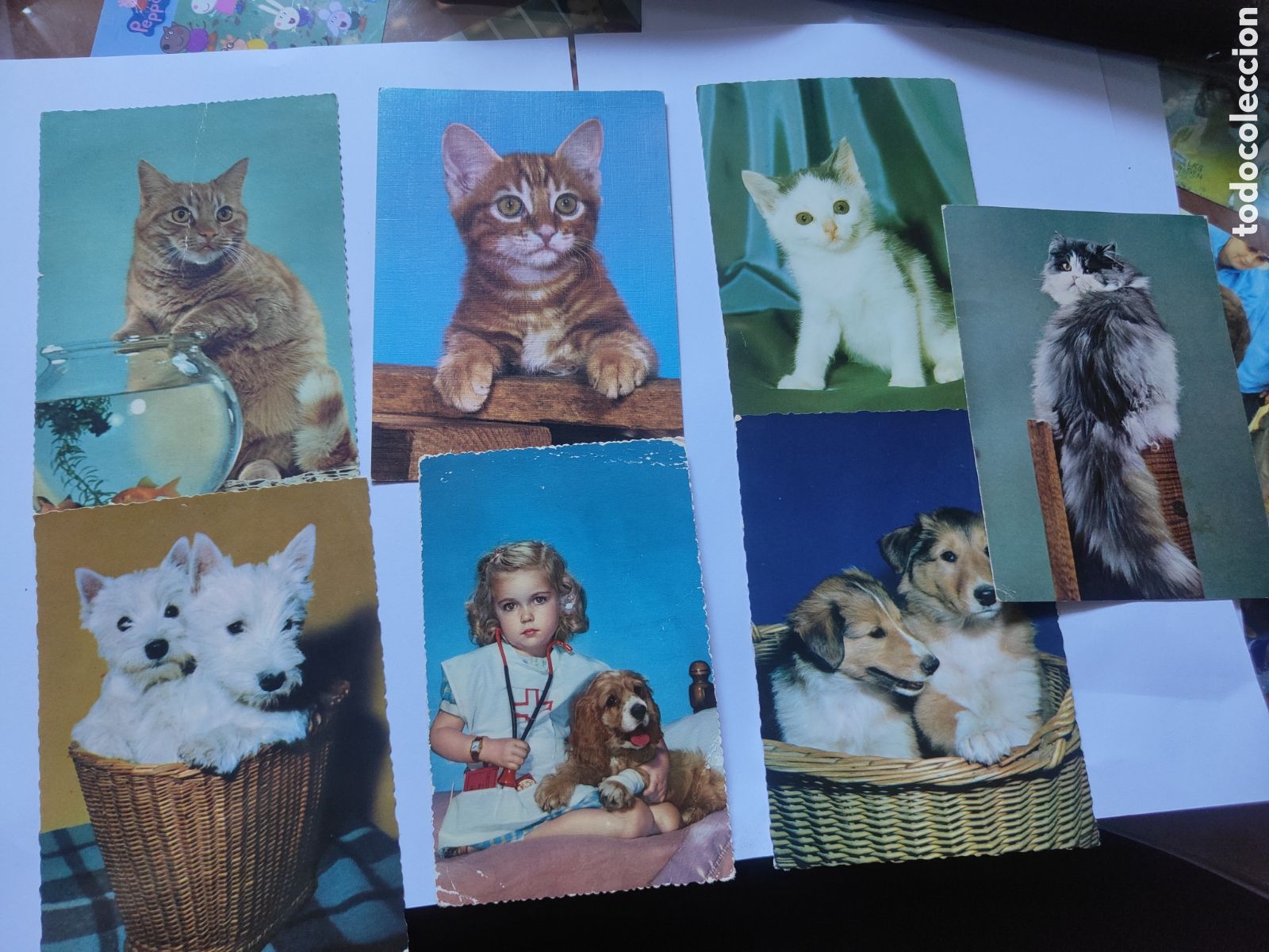 Postales: LOTE POSTALES PERROS Y GATOS - Foto 1