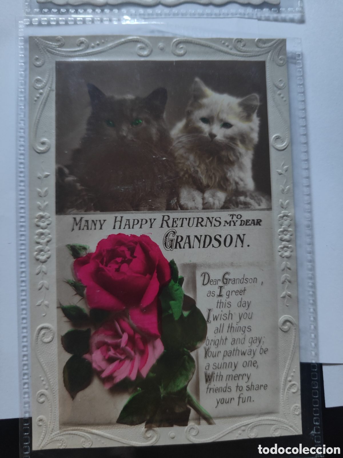 Postales: LOTE 4 POSTALES DE ANIMALES - Foto 2