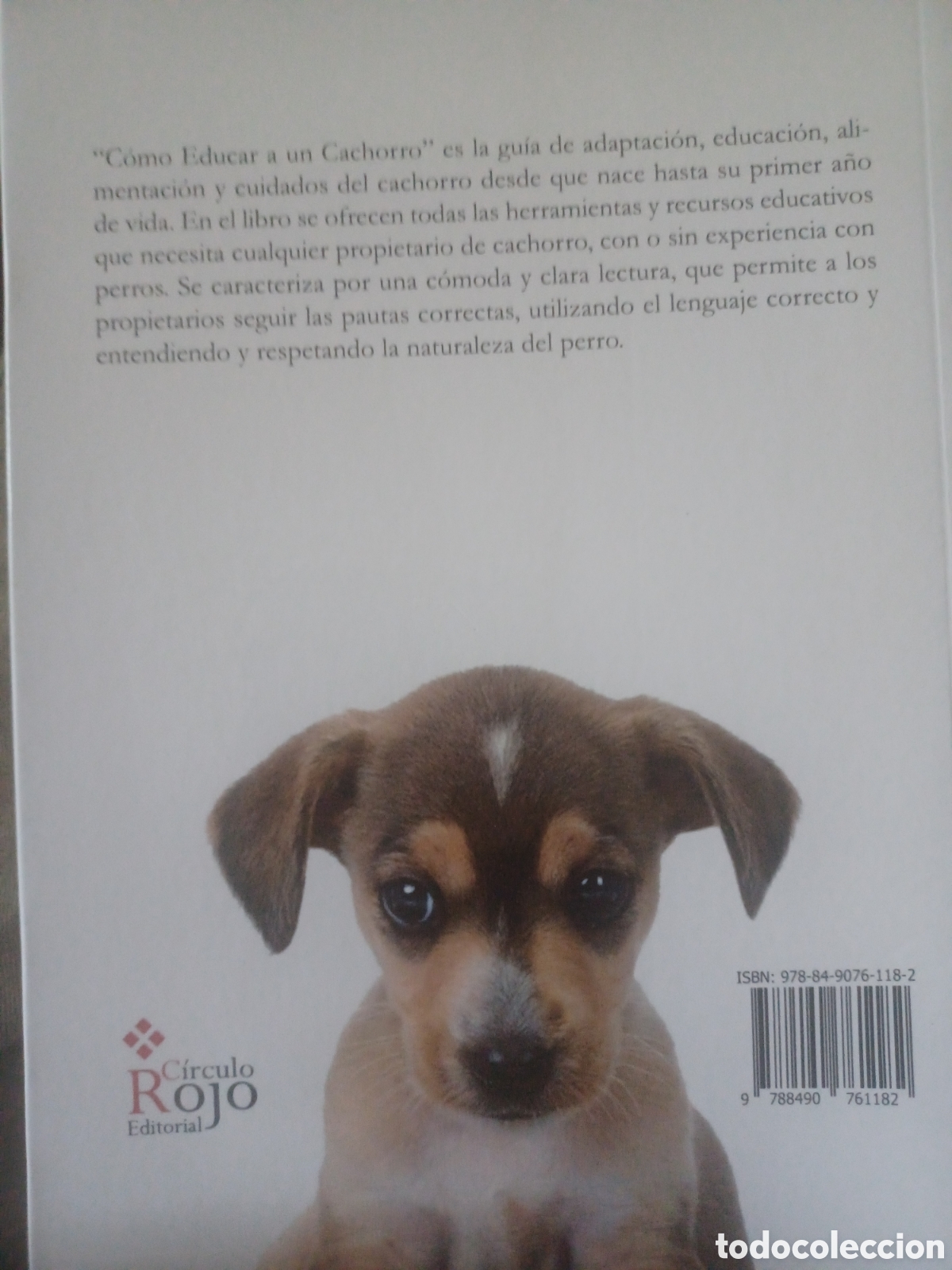 Postales: Barybook C38. . C&oacute;mo educar a un cachorro Sandra Ferrer c&iacute;rculo rojo - Foto 2