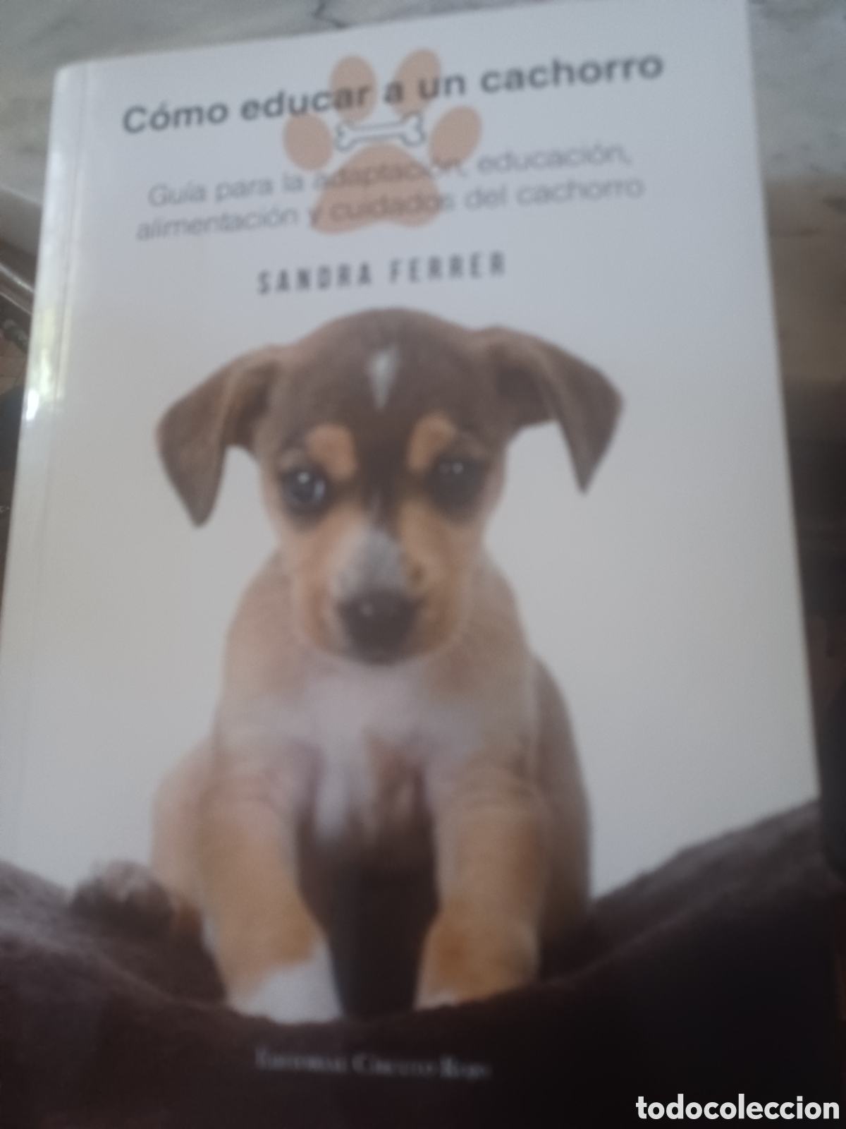 Postales: Barybook C38. . C&oacute;mo educar a un cachorro Sandra Ferrer c&iacute;rculo rojo - Foto 1