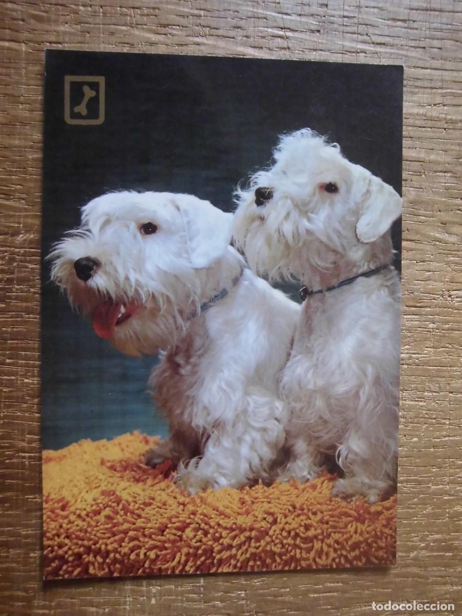 Postales: POSTAL SERIE 3066/4 ESCUDO DE ORO