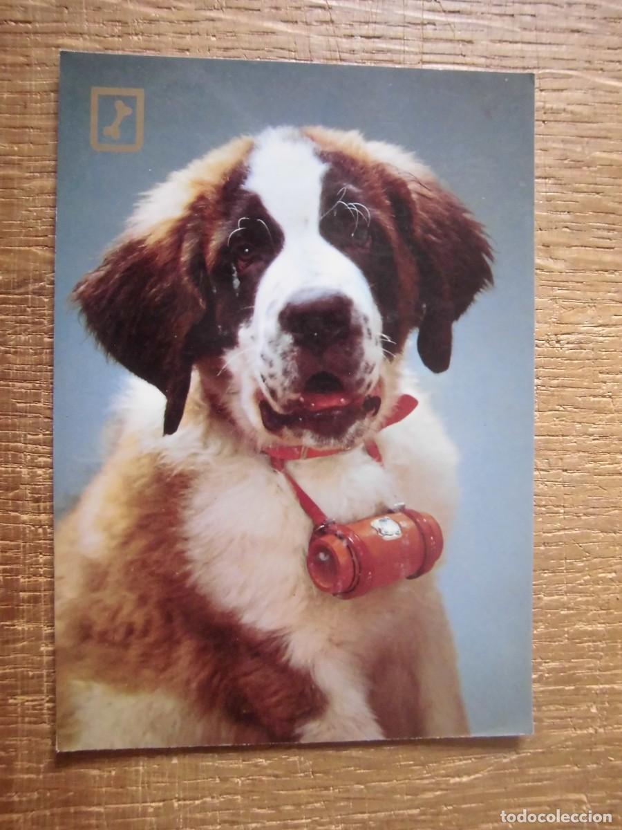 Cartes Postales: POSTAL SERIE 3066/5 ESCUDO DE ORO