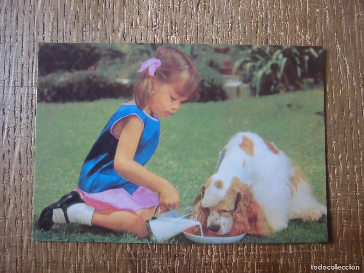 Postales: ANTIGUA POSTAL 4017-A CC - Foto 1