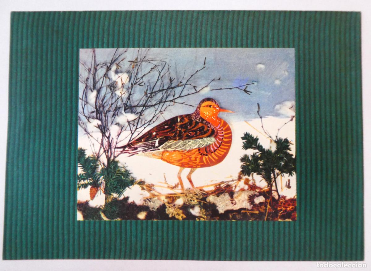 Cartes Postales: Bonita Postal doble Editions Dominique N&ordm; 301 mide 20X14 cm nueva