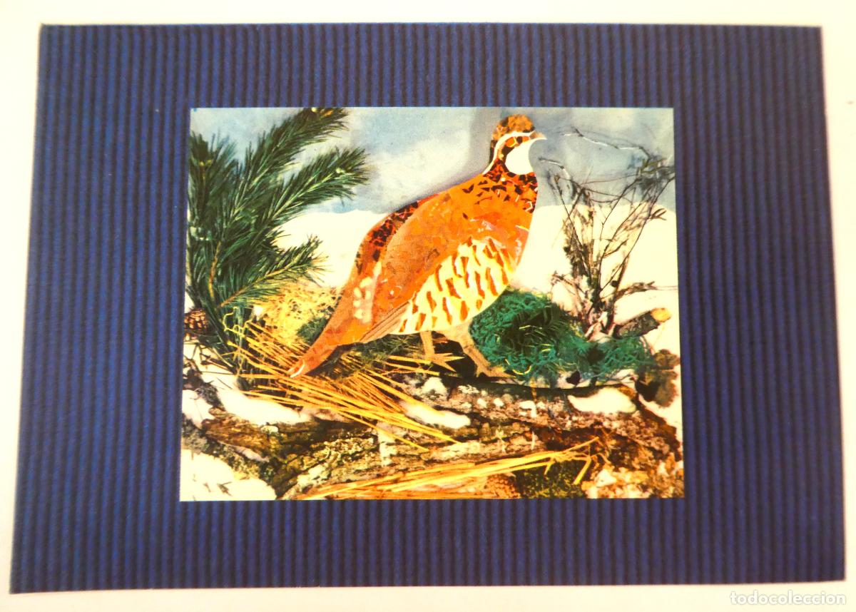 Cartes Postales: Bonita Postal doble Editions Dominique N&ordm; 304 mide 20X14 cm nueva