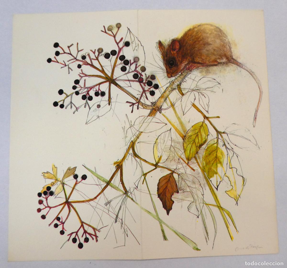 Cartes Postales: Bonita Postal doble de Dinamarca mide 17X16 cm nueva