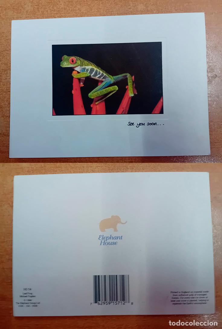 Postales: postal coleccion elephant house - Foto 1
