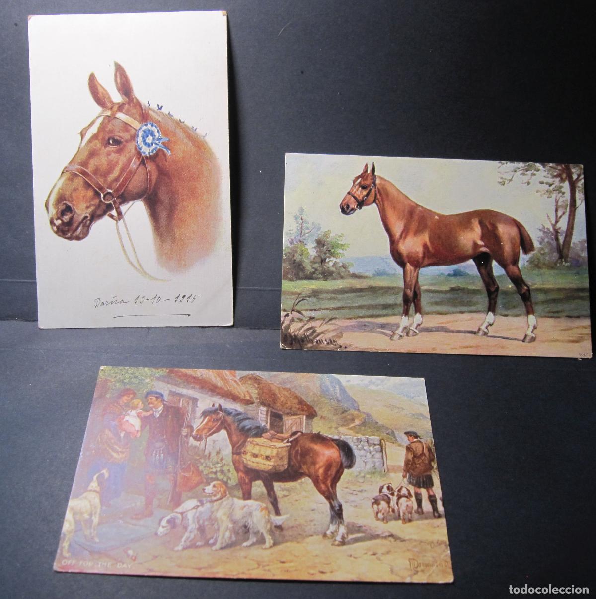 Postales: 3 POSTALES DE CABALLOS. - Foto 1