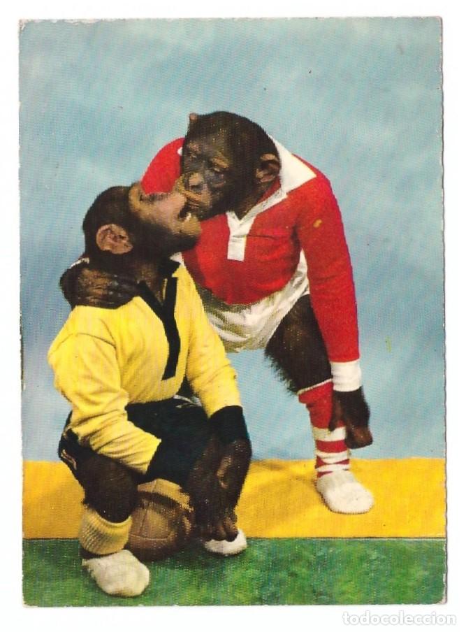 Cartes Postales: SERIE MONOS // CIRCULADA