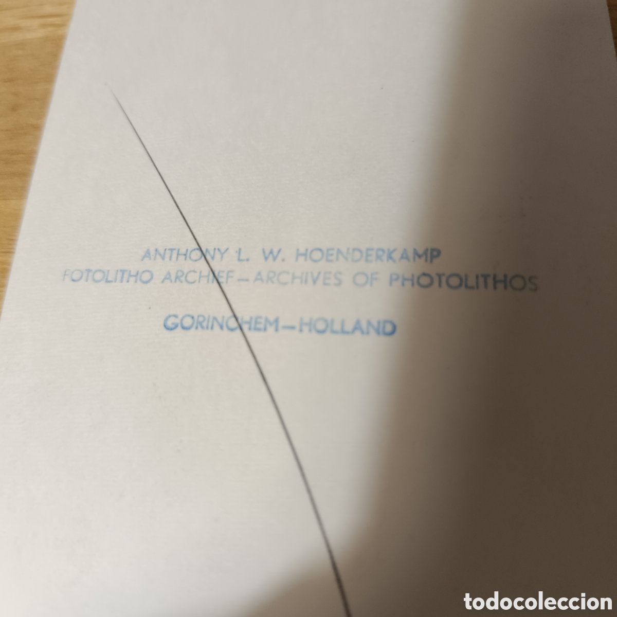 Postales: PERRO LACITO CASCABEL - HOENDERKAMP GORINCHEM HOLANDA - Foto 3