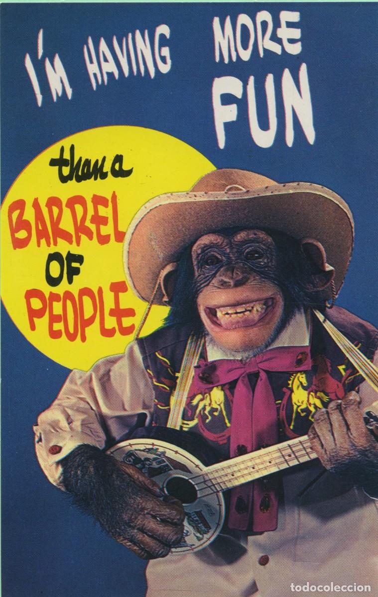 Cartes Postales: N&ordm; 934334-Cameo Original. ED. PLASTICHROME