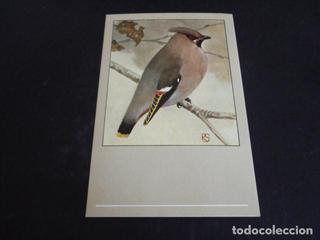 Postales: PAJARO POSTAL CROMOLITOGRAFICA - Foto 1