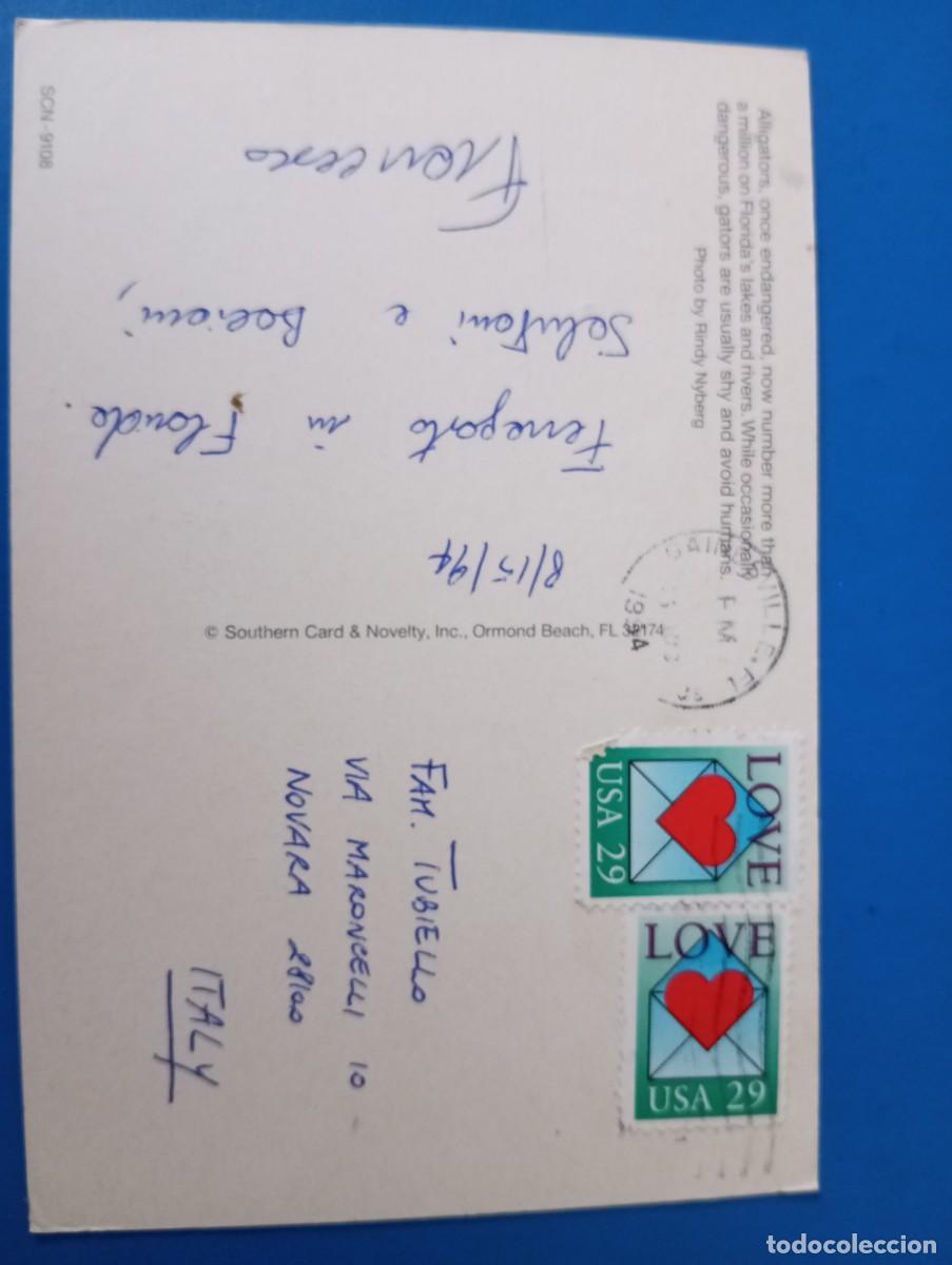Postales: POSTAL DE EEUU, COCODRILOS - Foto 2