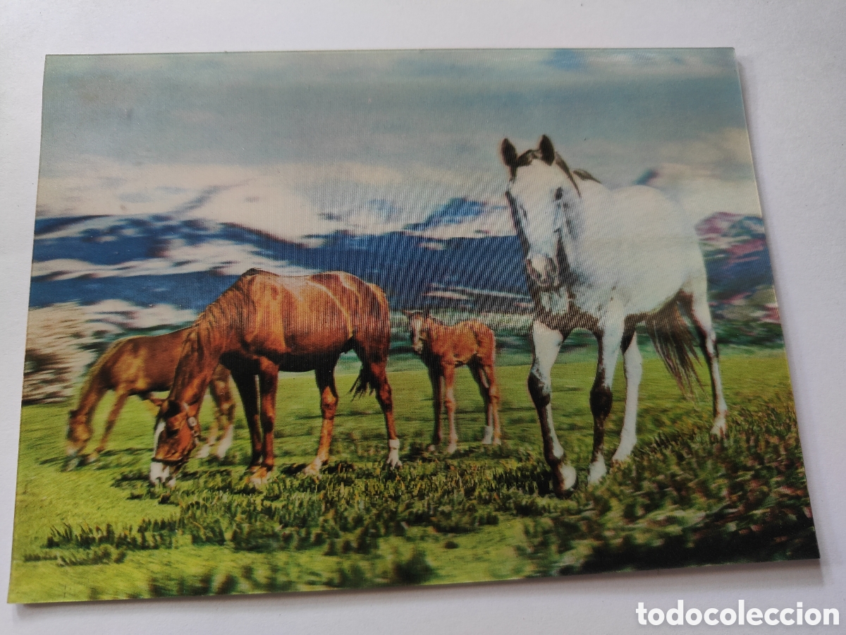Postales: 3 POSTALES TRIDIMENSIONALES ANIMALES - Foto 2