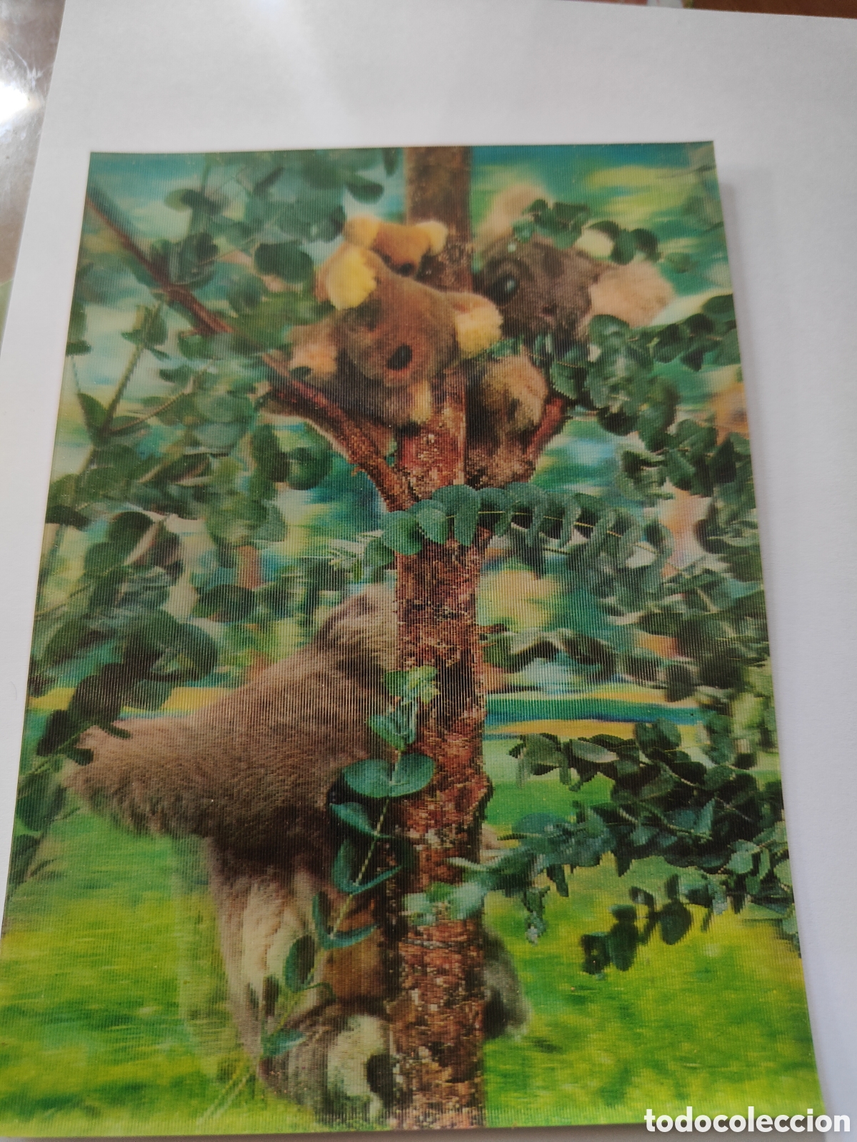Postales: 3 POSTALES TRIDIMENSIONALES ANIMALES - Foto 3