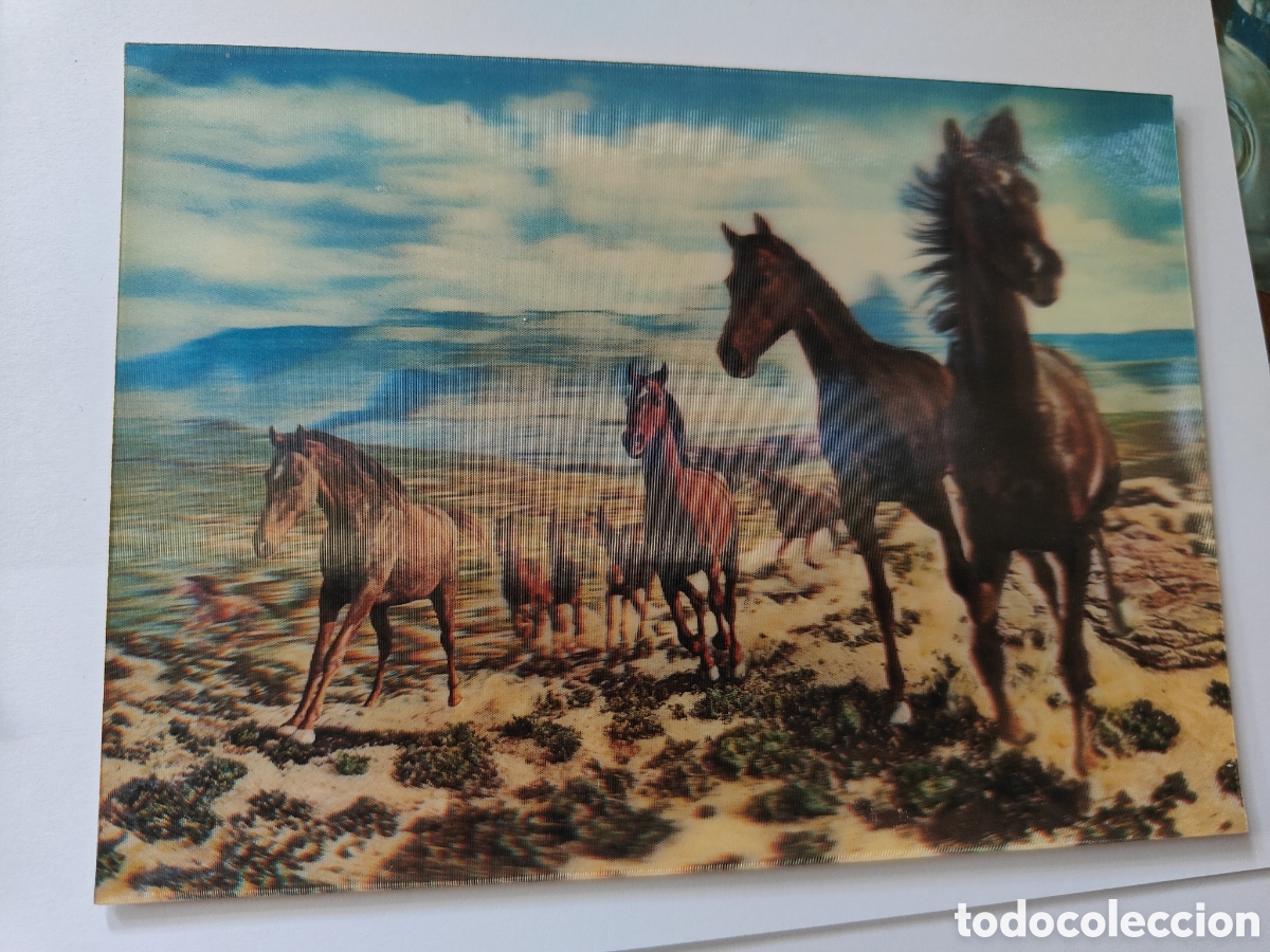 Postales: 3 POSTALES TRIDIMENSIONALES ANIMALES - Foto 4