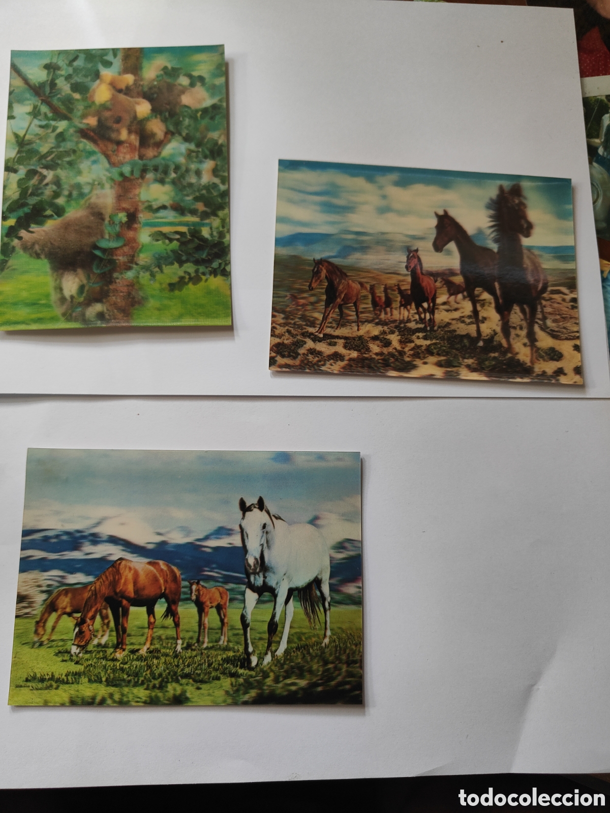 Postales: 3 POSTALES TRIDIMENSIONALES ANIMALES - Foto 1