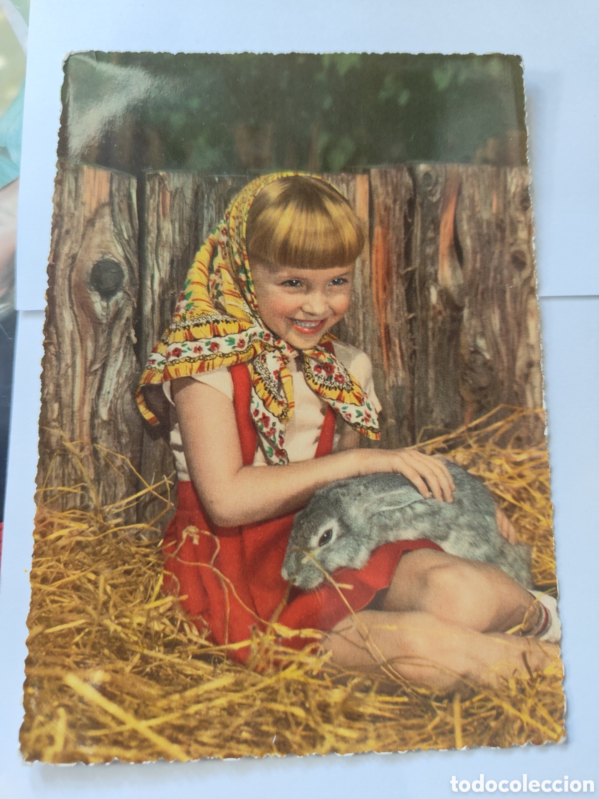 Postales: 4 POSTALES NI&Ntilde;OS CON ANIMALES - Foto 2