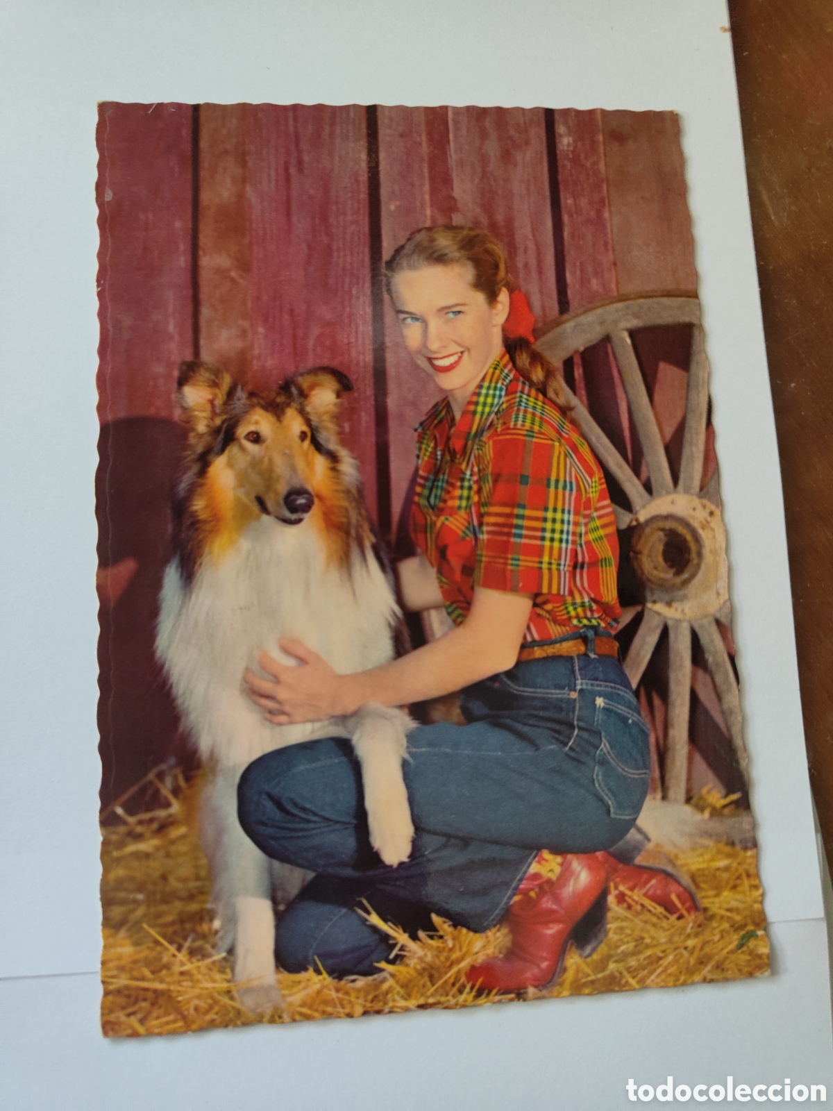 Postales: 4 POSTALES NI&Ntilde;OS CON ANIMALES - Foto 3