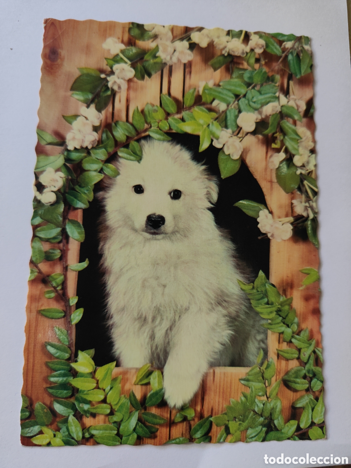 Postales: 4 POSTALES NI&Ntilde;OS CON ANIMALES - Foto 4