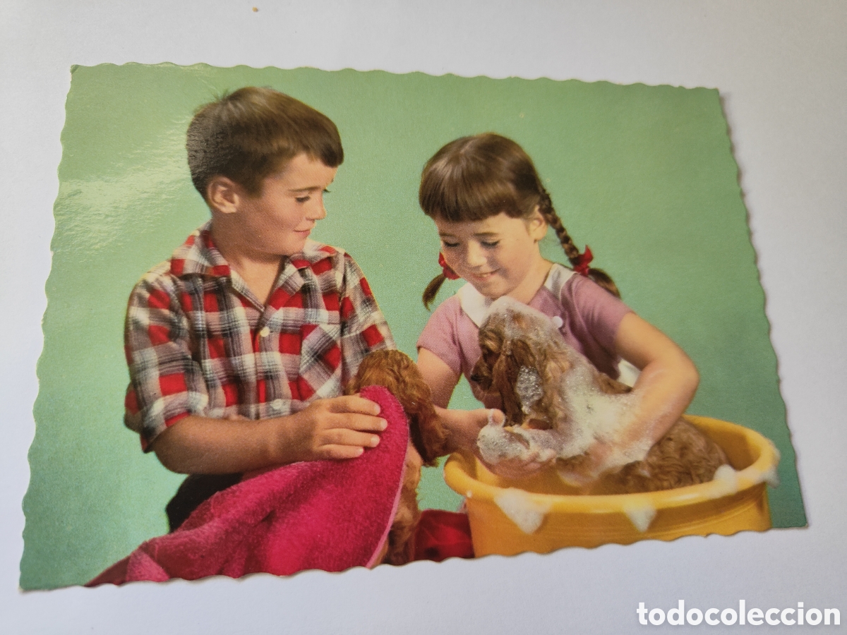 Postales: 4 POSTALES NI&Ntilde;OS CON ANIMALES - Foto 5
