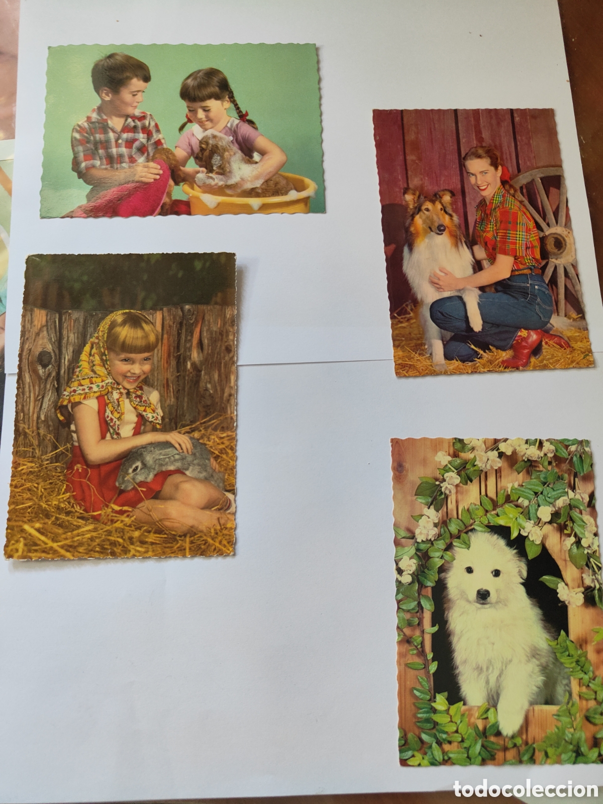 Postales: 4 POSTALES NI&Ntilde;OS CON ANIMALES - Foto 1