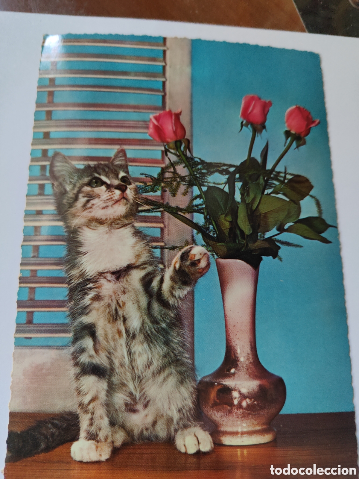 Postales: 6 POSTALES DE ANIMALES EN COLOR - Foto 7