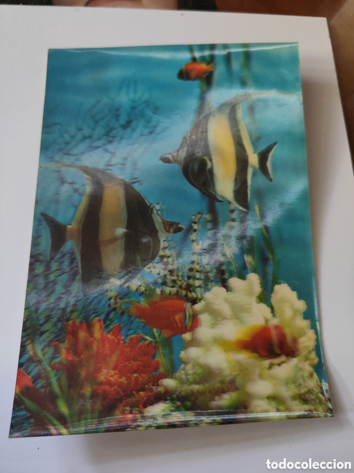 Postales: 3 POSTALES TRIDIMENSIONALES CANGUROS,CIERVOS Y PECES - Foto 4