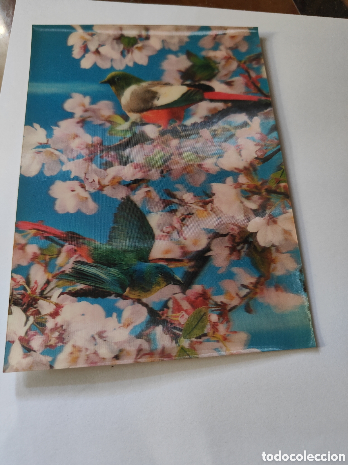 Postales: 3 POSTALES TRIDIMENSIONALES ANIMALES - Foto 4