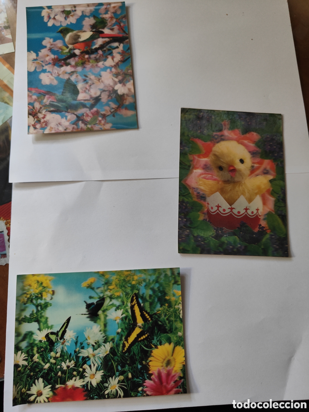 Postales: 3 POSTALES TRIDIMENSIONALES ANIMALES - Foto 1