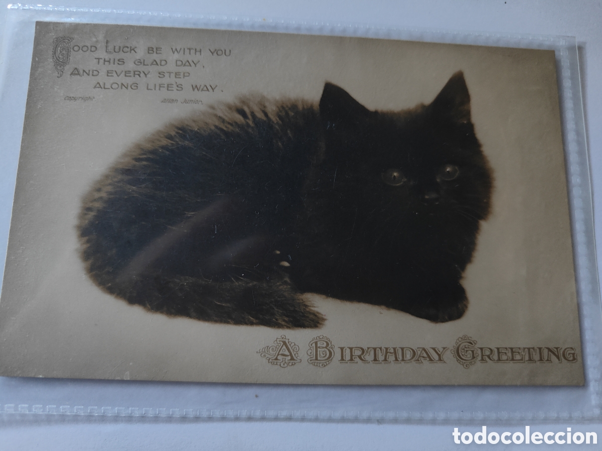 Postales: 4 POSTALES NI&Ntilde;A CON GATOS - Foto 5