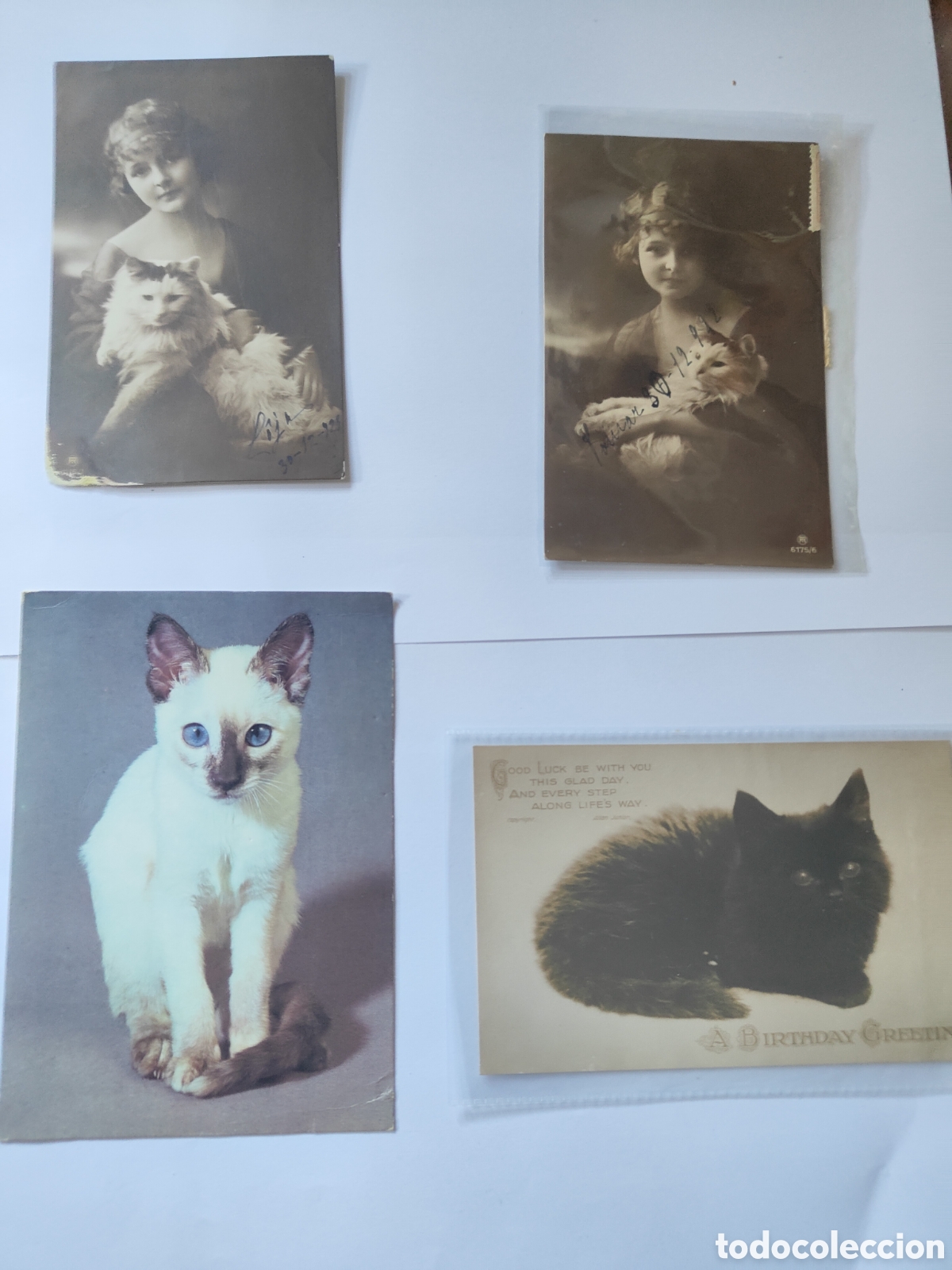 Postales: 4 POSTALES NI&Ntilde;A CON GATOS - Foto 1