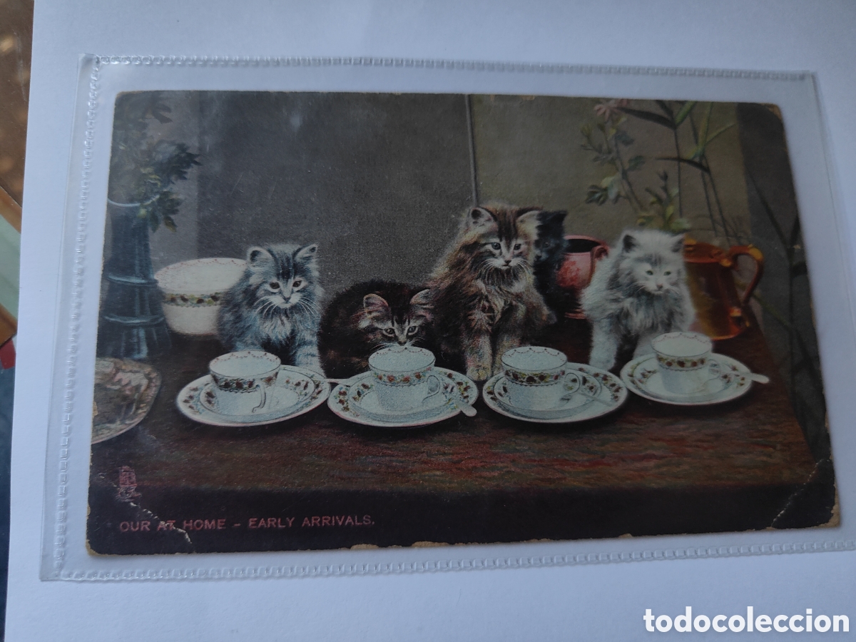 Postales: 4 POSTALES NI&Ntilde;OS CON GATOS - Foto 5