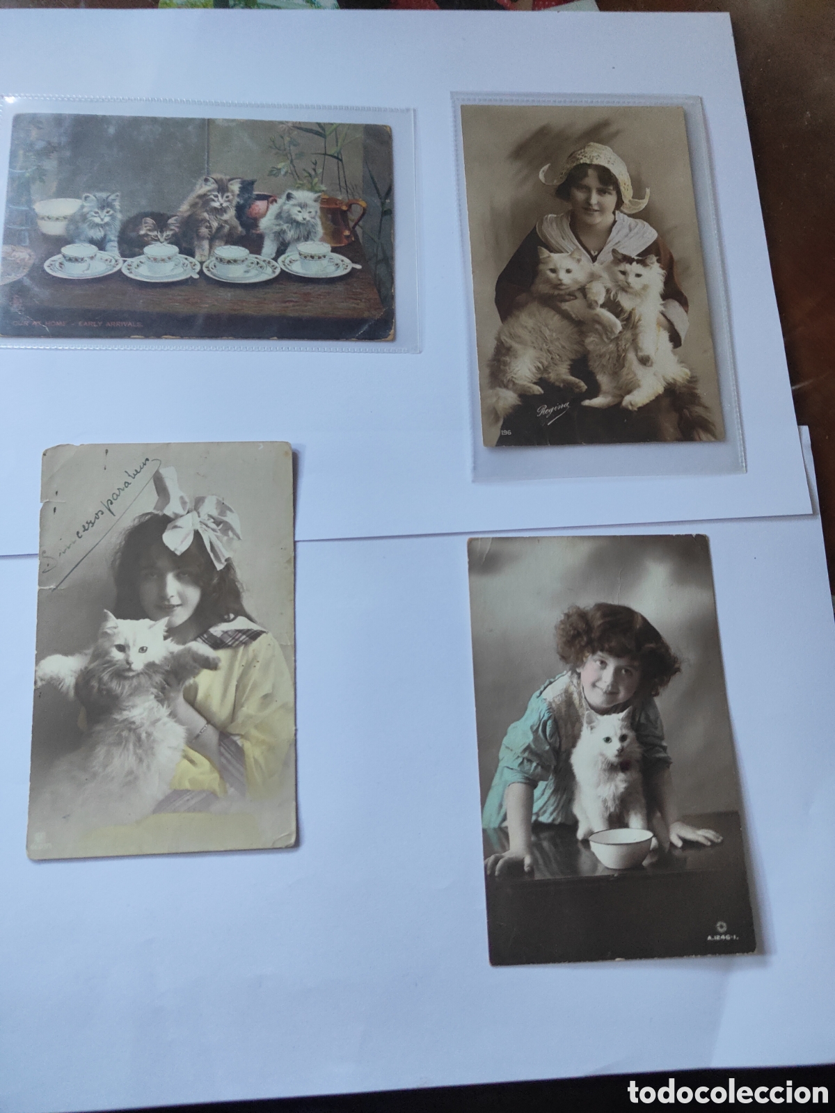 Postales: 4 POSTALES NI&Ntilde;OS CON GATOS - Foto 1