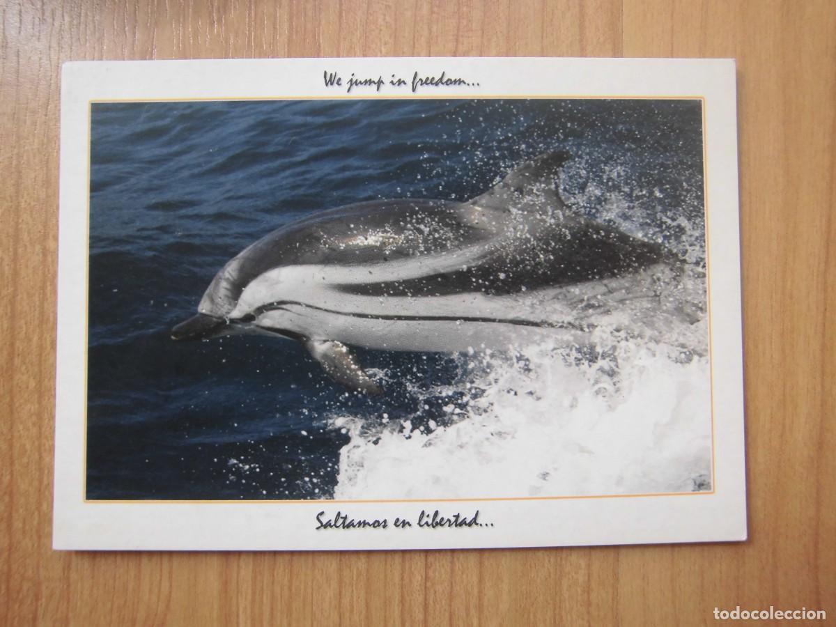 Postkarten: POSTAL DELF&Iacute;N LISTADO SALTAMOS EN LIBERTAD...