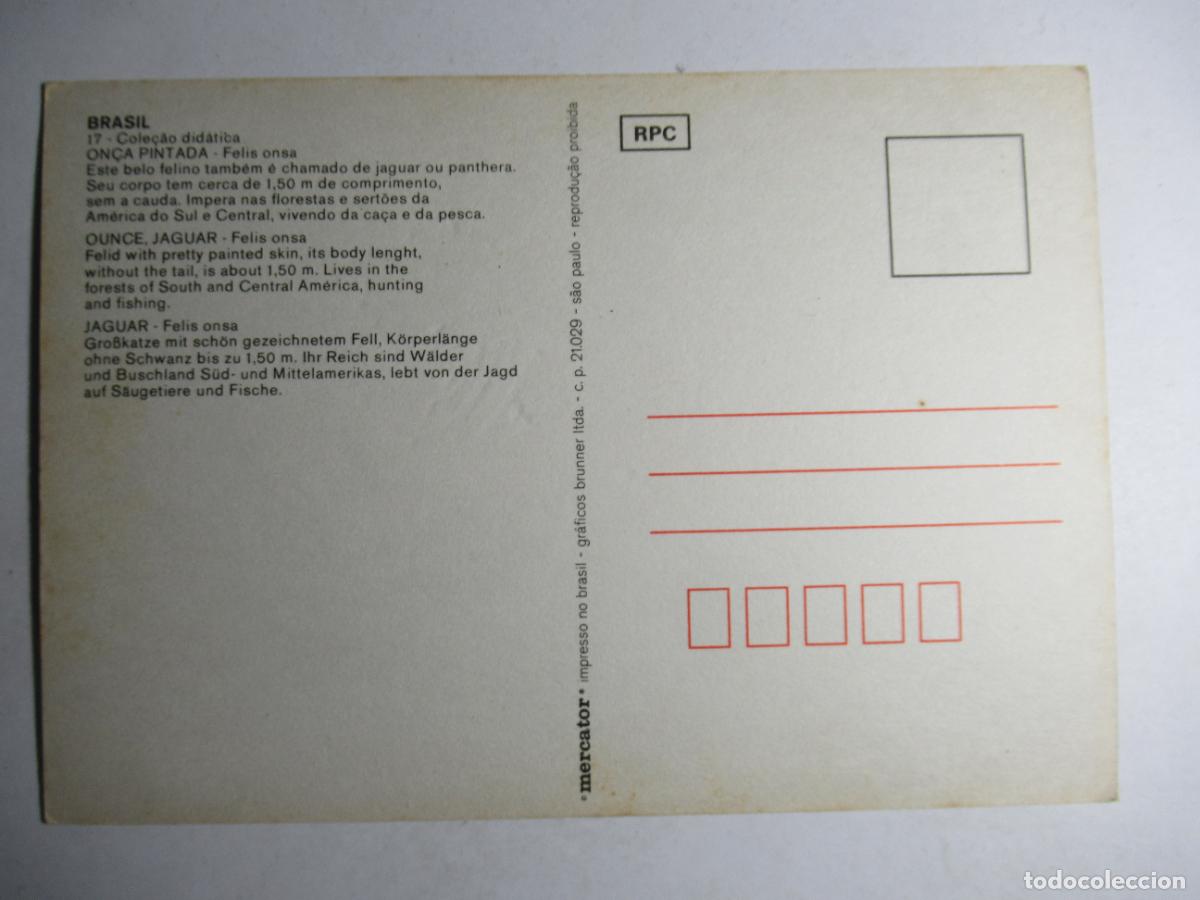 Postales: Postal de Brasil con tigre - Foto 2