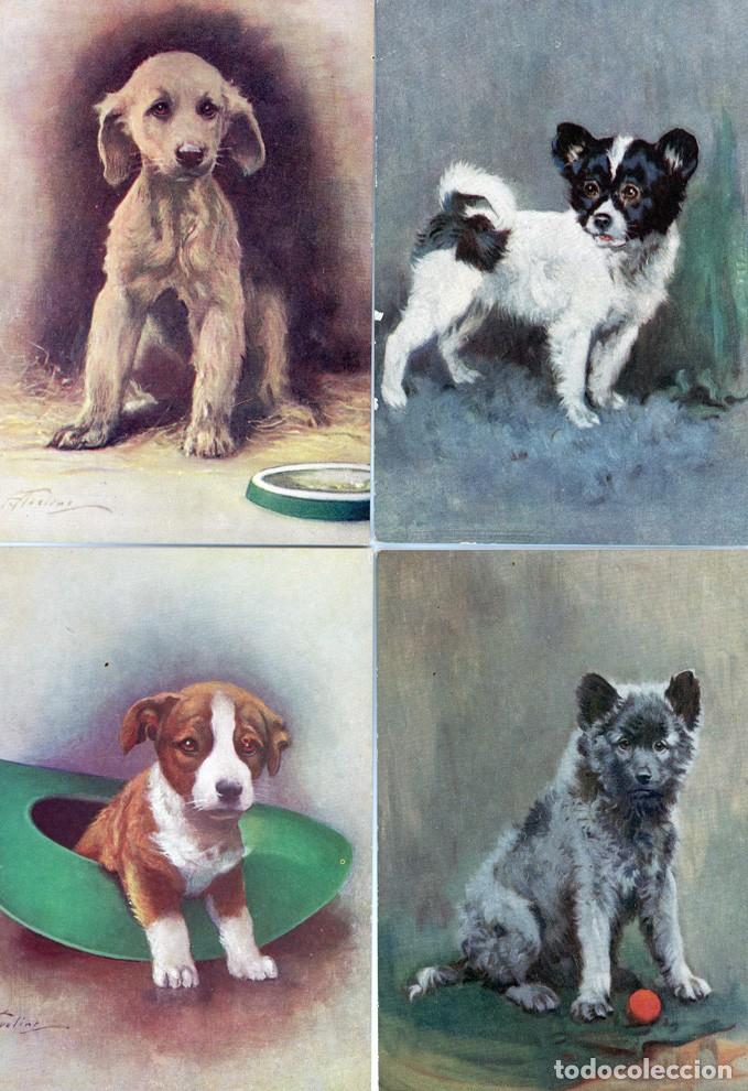 Postales: Perros Postales colecci&oacute;n - Foto 3