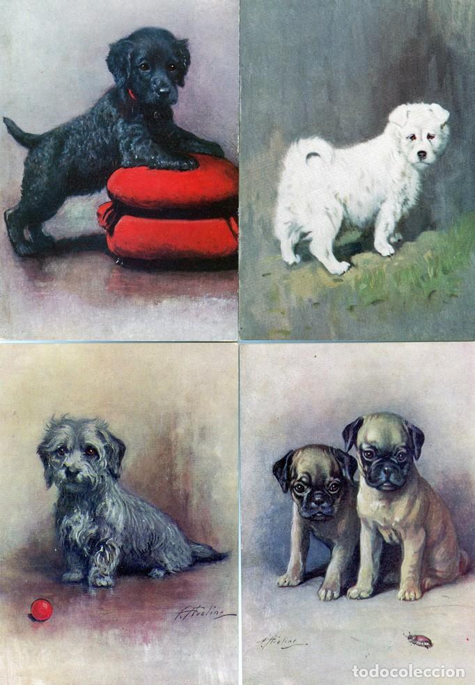Postales: Perros Postales colecci&oacute;n - Foto 4