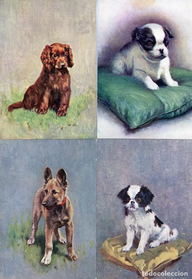 Postales: Perros Postales colecci&oacute;n - Foto 5