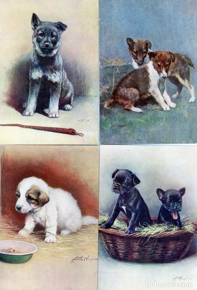 Postales: Perros Postales colecci&oacute;n - Foto 6