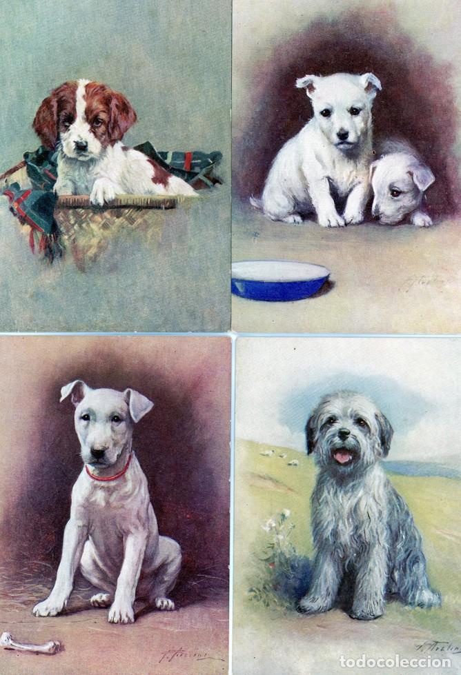 Postales: Perros Postales colecci&oacute;n - Foto 7