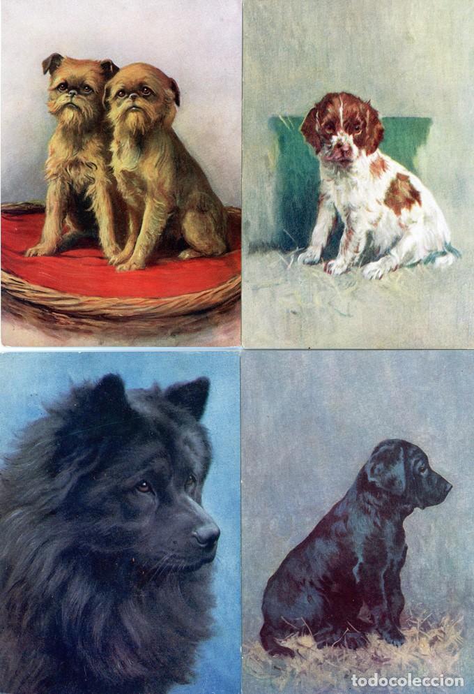 Postales: Perros Postales colecci&oacute;n - Foto 8