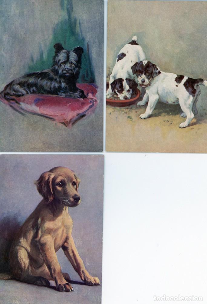 Postales: Perros Postales colecci&oacute;n - Foto 9