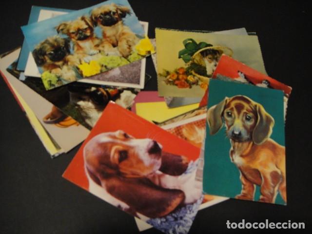 Postales: 28 postales de perros - Foto 1