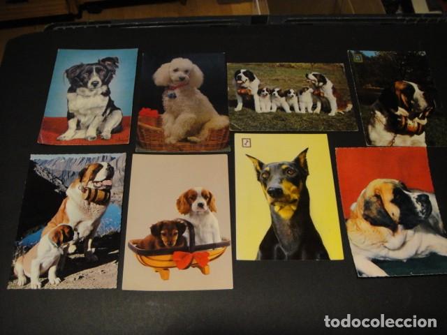 Postales: 28 postales de perros - Foto 2